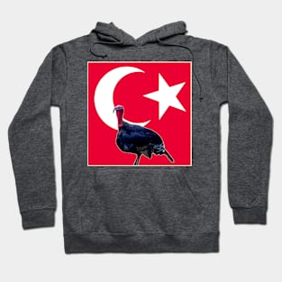 Turkey turkey Hoodie